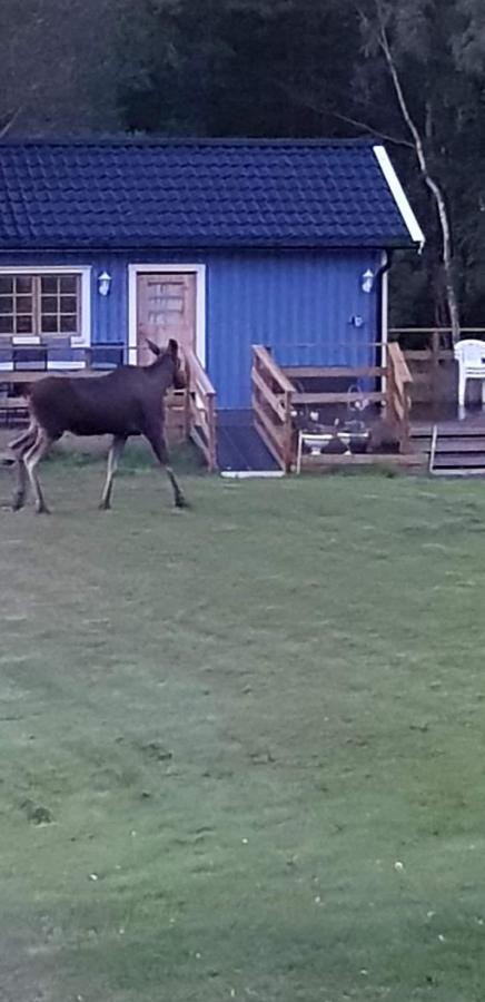 فيلا Lussebo 9 Lidköping المظهر الخارجي الصورة